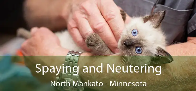 Spaying and Neutering North Mankato - Minnesota