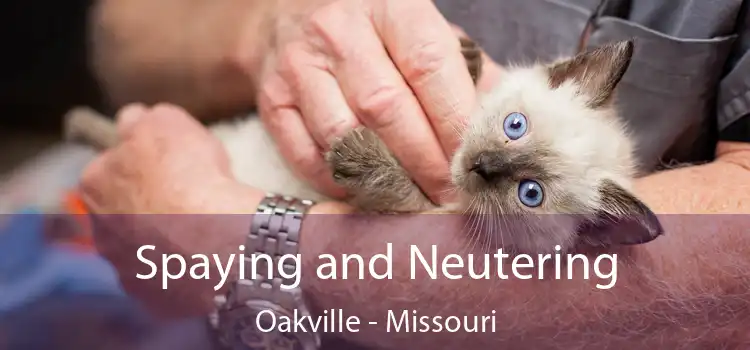 Spaying and Neutering Oakville - Missouri