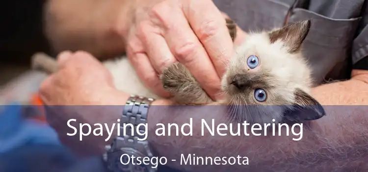 Spaying and Neutering Otsego - Minnesota