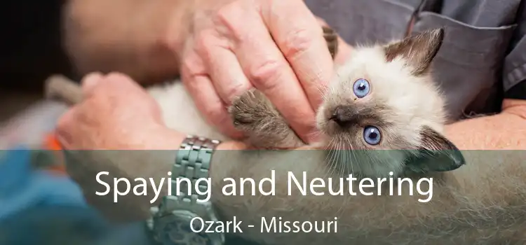 Spaying and Neutering Ozark - Missouri