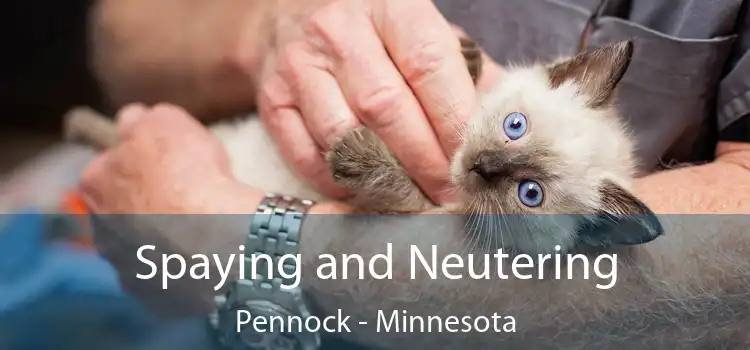 Spaying and Neutering Pennock - Minnesota