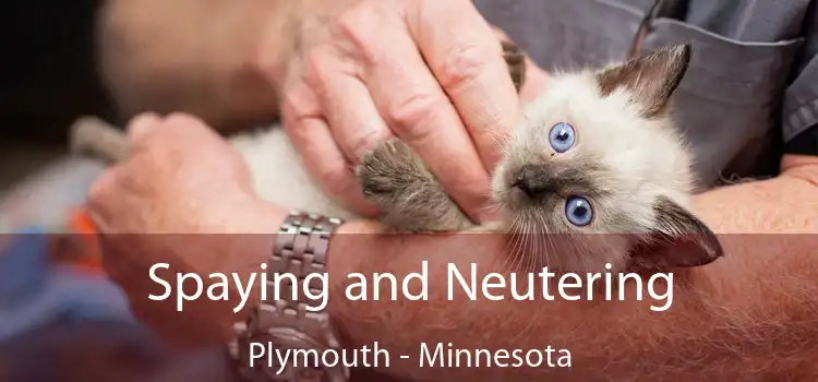 Spaying and Neutering Plymouth - Minnesota