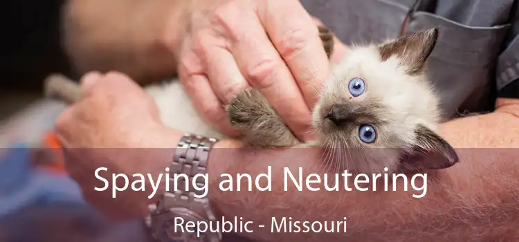 Spaying and Neutering Republic - Missouri