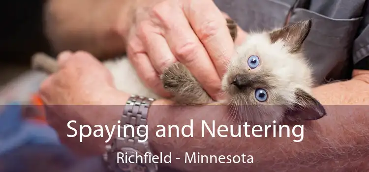 Spaying and Neutering Richfield - Minnesota