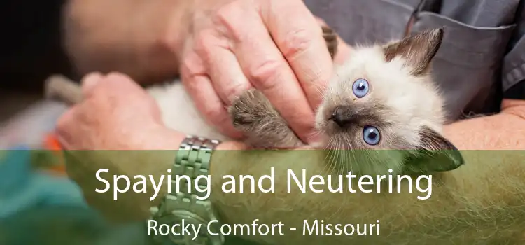 Spaying and Neutering Rocky Comfort - Missouri