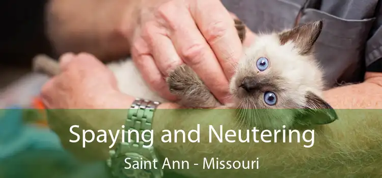 Spaying and Neutering Saint Ann - Missouri