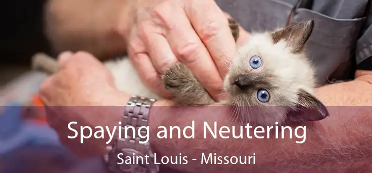 Spaying and Neutering Saint Louis - Missouri