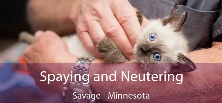 Spaying and Neutering Savage - Minnesota