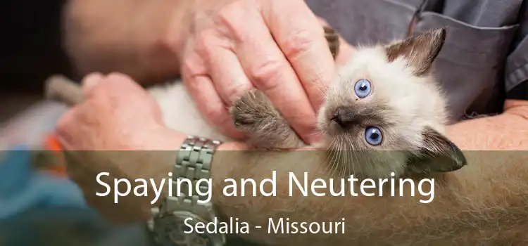 Spaying and Neutering Sedalia - Missouri