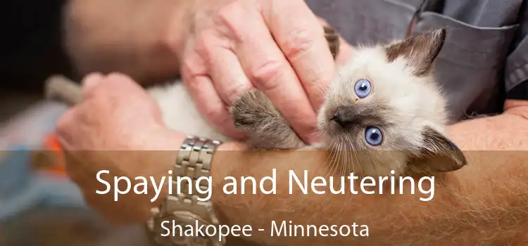 Spaying and Neutering Shakopee - Minnesota