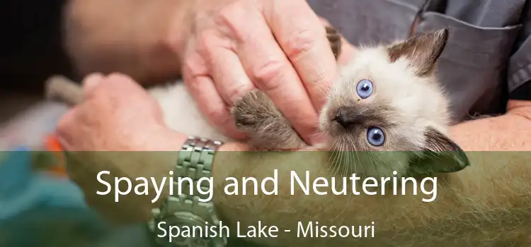 Spaying and Neutering Spanish Lake - Missouri