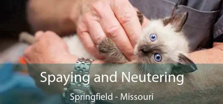 Spaying and Neutering Springfield - Missouri