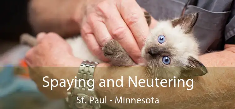 Spaying and Neutering St. Paul - Minnesota