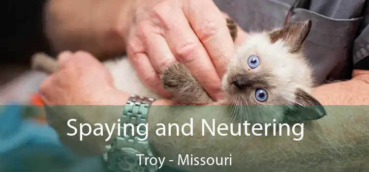 Spaying and Neutering Troy - Missouri