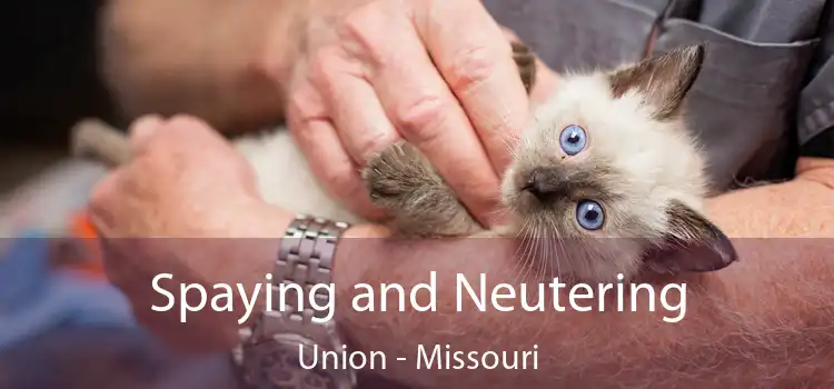 Spaying and Neutering Union - Missouri