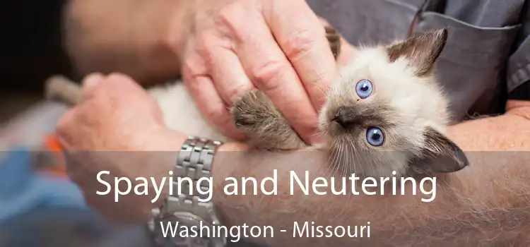 Spaying and Neutering Washington - Missouri