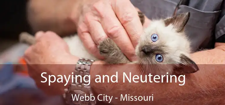 Spaying and Neutering Webb City - Missouri