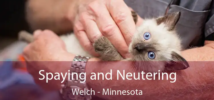 Spaying and Neutering Welch - Minnesota