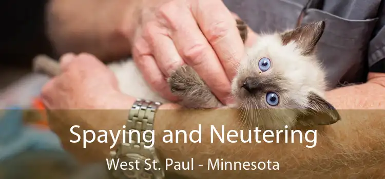 Spaying and Neutering West St. Paul - Minnesota