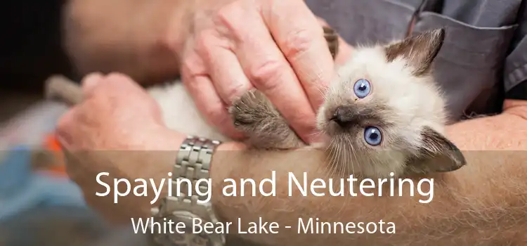 Spaying and Neutering White Bear Lake - Minnesota