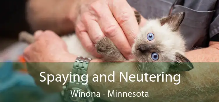 Spaying and Neutering Winona - Minnesota