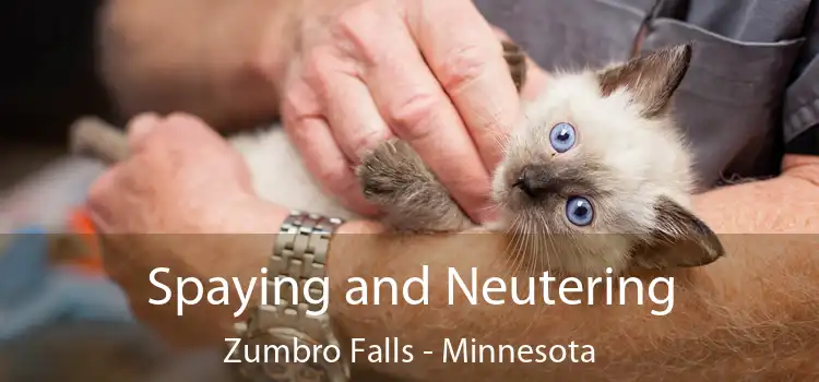 Spaying and Neutering Zumbro Falls - Minnesota