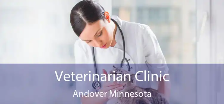 Veterinarian Clinic Andover Minnesota