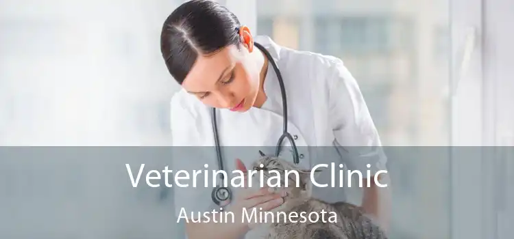 Veterinarian Clinic Austin Minnesota