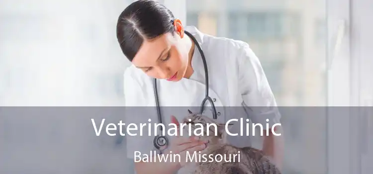 Veterinarian Clinic Ballwin Missouri