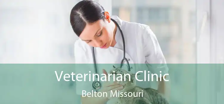 Veterinarian Clinic Belton Missouri