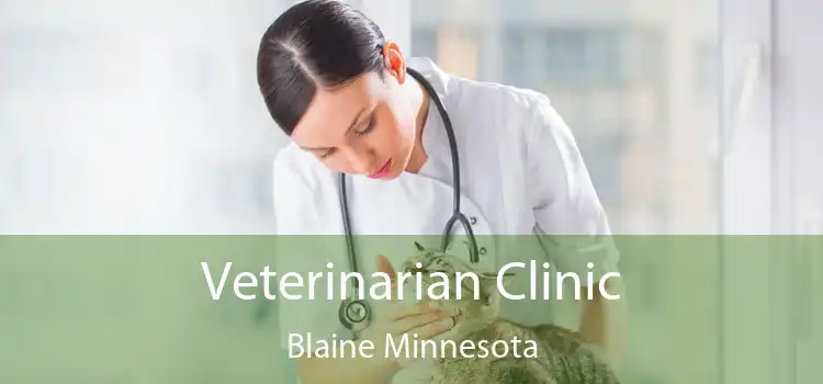 Veterinarian Clinic Blaine Minnesota