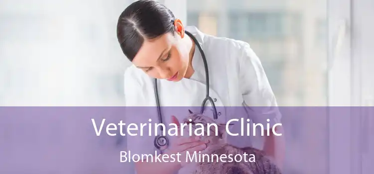 Veterinarian Clinic Blomkest Minnesota