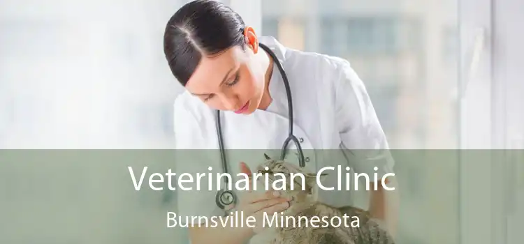 Veterinarian Clinic Burnsville Minnesota