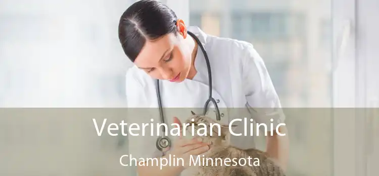 Veterinarian Clinic Champlin Minnesota