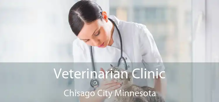 Veterinarian Clinic Chisago City Minnesota