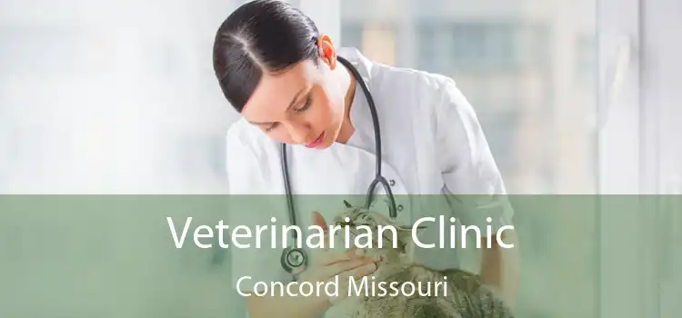 Veterinarian Clinic Concord Missouri