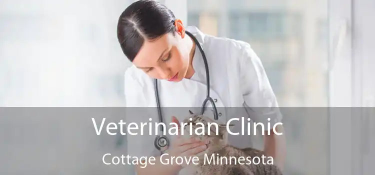 Veterinarian Clinic Cottage Grove Minnesota