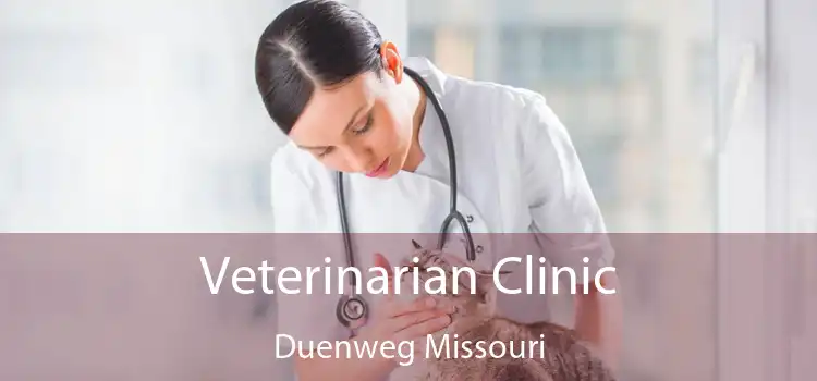 Veterinarian Clinic Duenweg Missouri