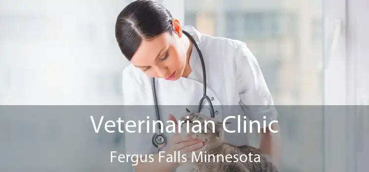 Veterinarian Clinic Fergus Falls Minnesota