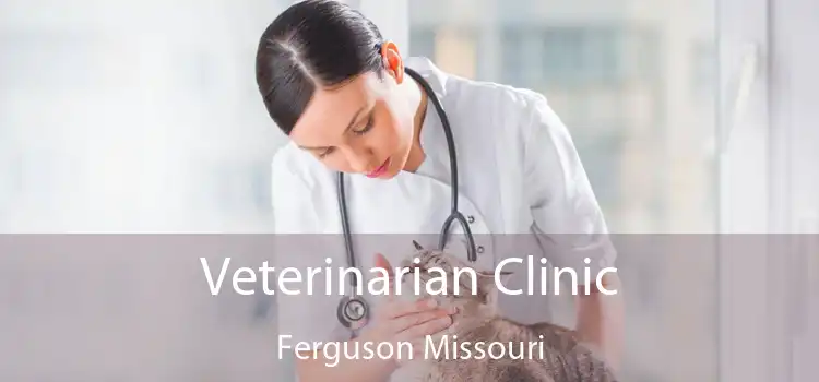 Veterinarian Clinic Ferguson Missouri