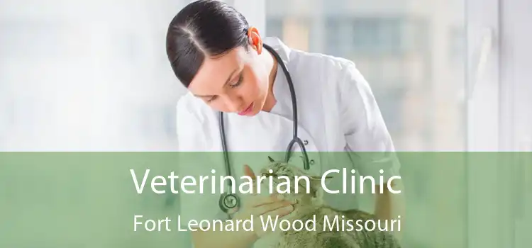 Veterinarian Clinic Fort Leonard Wood Missouri