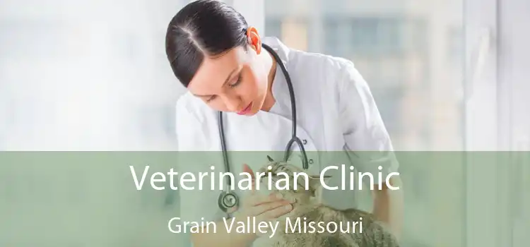 Veterinarian Clinic Grain Valley Missouri