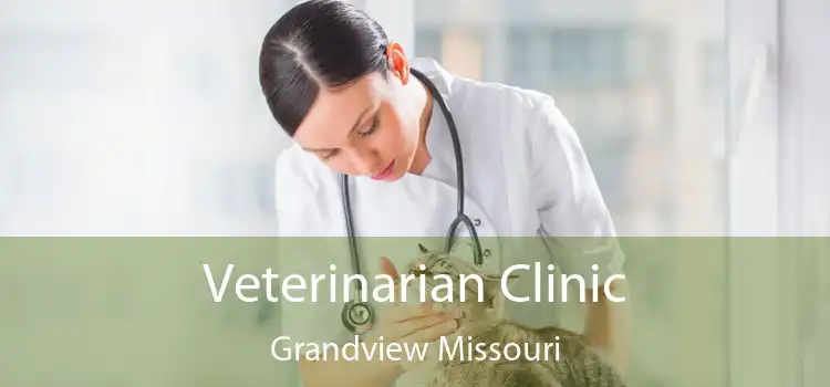 Veterinarian Clinic Grandview Missouri