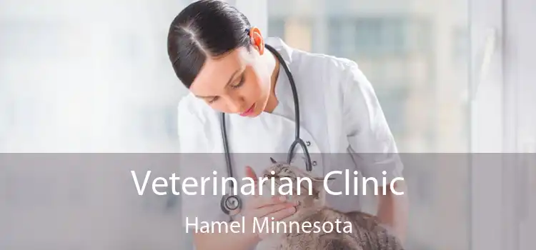 Veterinarian Clinic Hamel Minnesota