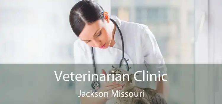 Veterinarian Clinic Jackson Missouri