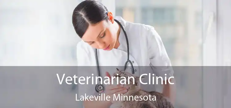 Veterinarian Clinic Lakeville Minnesota