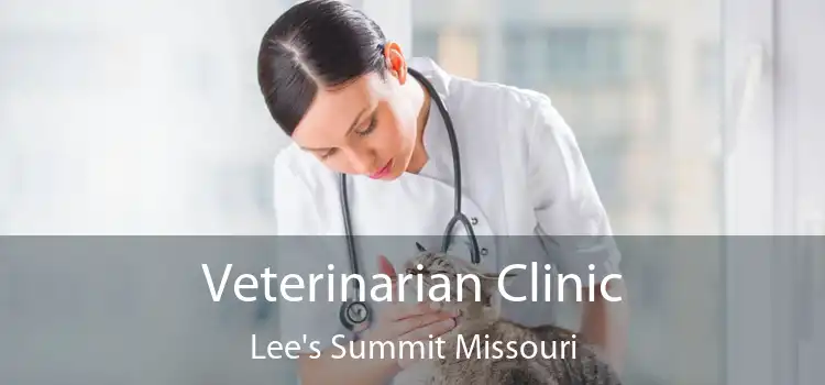 Veterinarian Clinic Lee's Summit Missouri