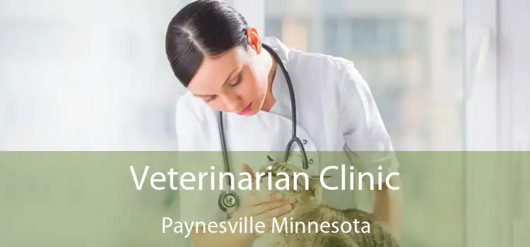 Veterinarian Clinic Paynesville Minnesota