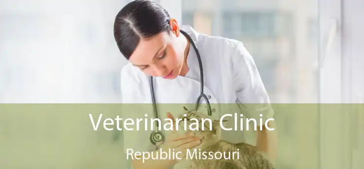 Veterinarian Clinic Republic Missouri