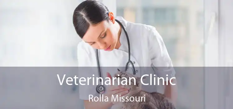 Veterinarian Clinic Rolla Missouri